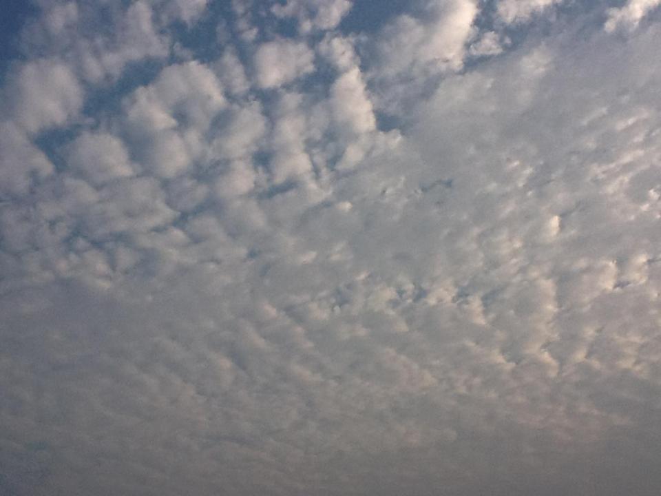 Ma Pi Leng Homestay Lang Xao Vang Exteriör bild